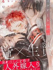 海棠书屋-飞书小说 悬疑小说《暗夜追凶》
